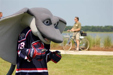 Mascot for the south carolina stingrays hockey team